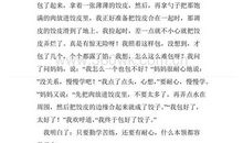 我眼中的乡村景致作文300字