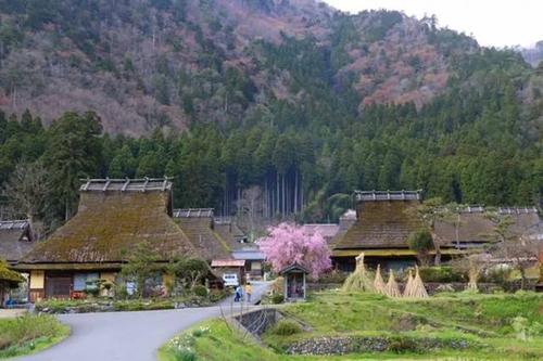 我眼中的乡村风景