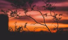 学会为他人着想