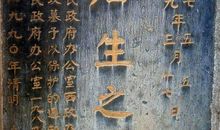 真假将军观后感