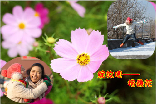 让生活绽放幸福
