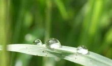 这一刻生命因情谊而美丽