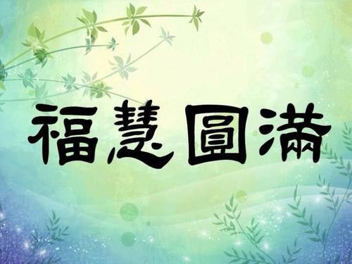 爸爸的家庭书