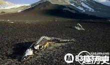 揭开接种疫苗的神秘面纱