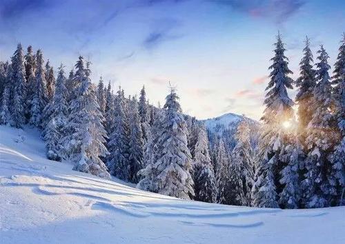 我爱你，锡兰雪