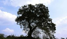 正在成长的家乡