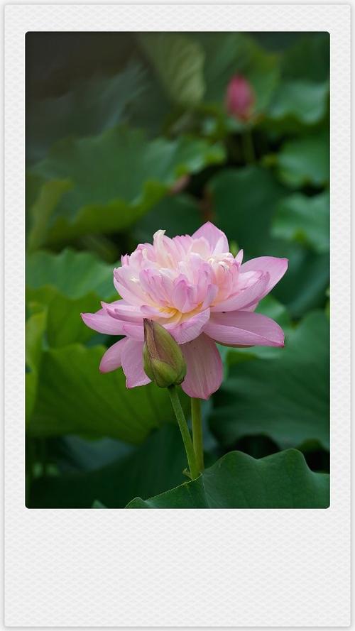 雨背后的景观让我陶醉了