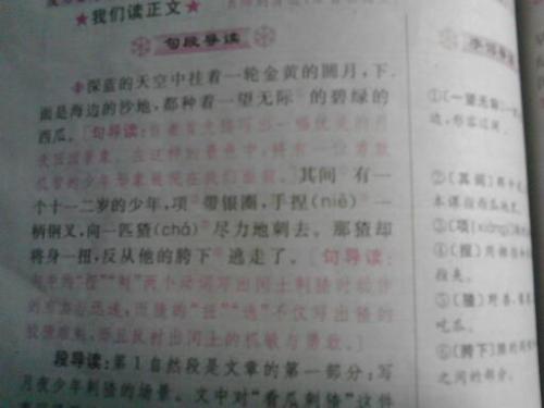 洗了花时钟的第一个自然部分