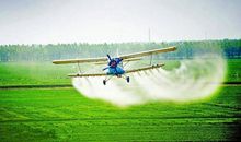 拒绝成为“机械化”的自己