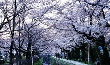 忘不了，那雨中的清晨