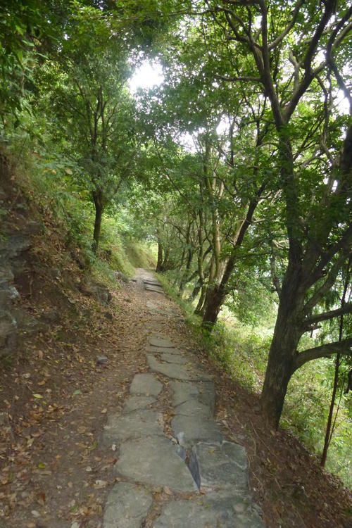 一路深秋，一路走来