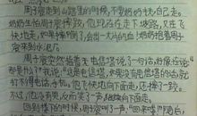 在月光下散步的作文