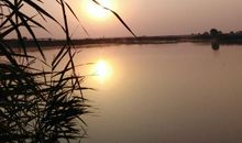 为诗意让出一条道