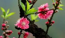 什么才是真正的美