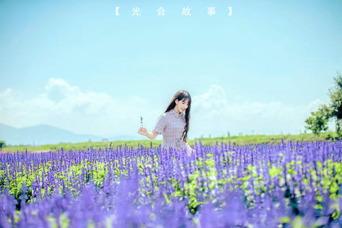 因为你普通的春天开花