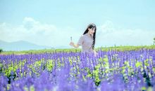 因你平凡春暖花开