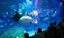 游海昌极地海洋世界