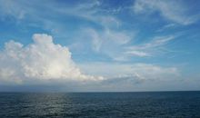 把等待抛到九霄云外