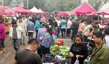 热闹的菜市场作文300字三年级