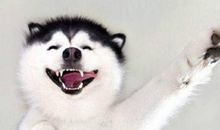 爱你，想看着你微笑