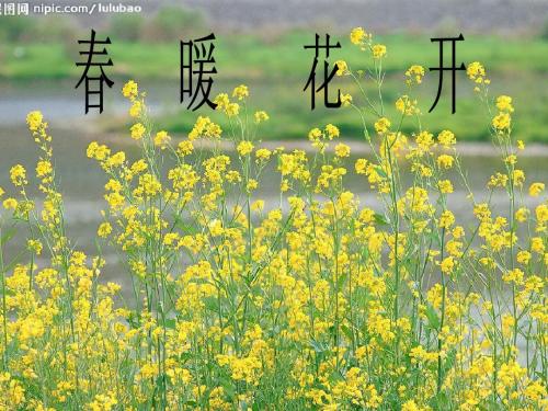 春季美