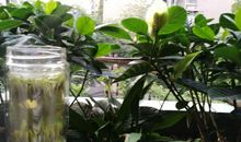 人格牵动我的思绪