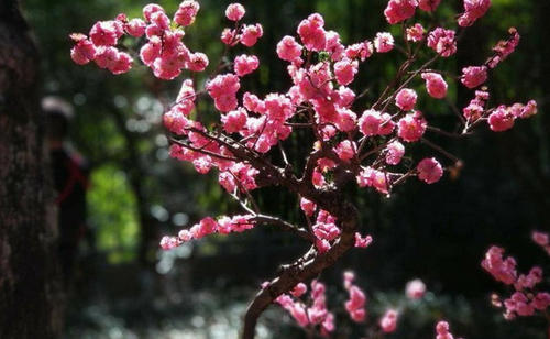 生活是缺乏伸展
