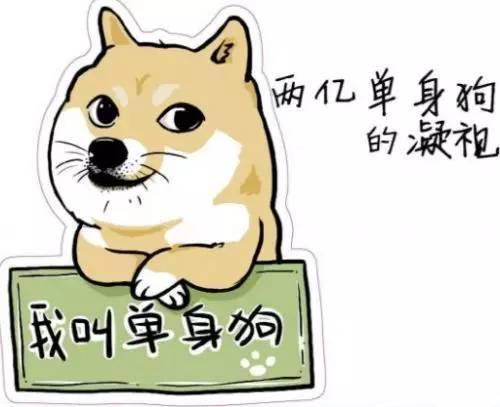 什么是我的家人