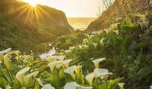 我的心因成熟而高贵