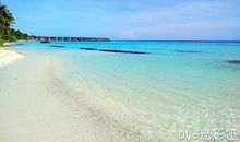 在感恩中邂逅大海