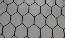 钢丝网上的小花读后感