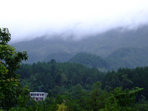 农村