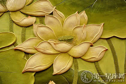 与莲花的瘦身心脏