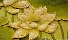 身处淤泥心有莲花