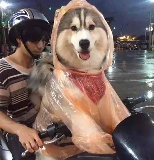 第一次穿雨衣
