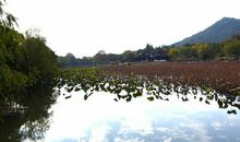 风景如画的湘湖