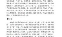 我的植物朋友300字左右三年级