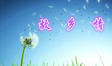 《蒲公英》诗歌