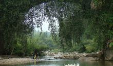 我眼中的长寿桥