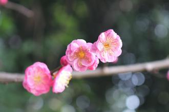 四季天气