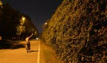 向前走再向前走