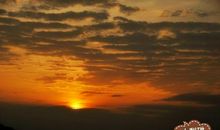 清明情怀陌上耕