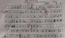 仿写老舍母鸡的作文