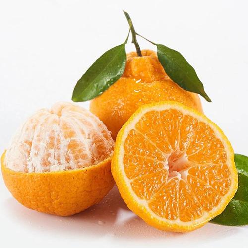 丑陋的
