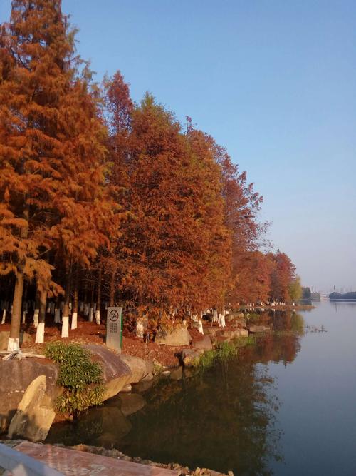 河笑声