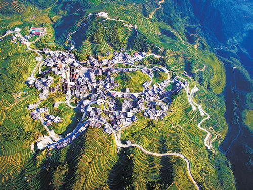 明天的“共享年龄”美丽