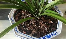 生活二三事——关于友善