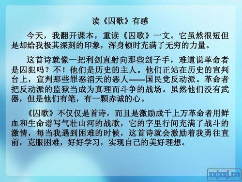 我的小天地组成