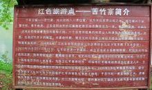 又见苦竹路真好