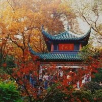 美丽的风景